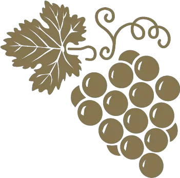 Wine 101 Types Of West Coast Cellars Guide To Diamond Png Grapes Icon