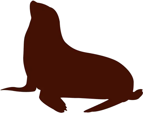 Sea Lion Silhouette Illustration Siluetas De Leon Marino Png Sea Lion Png