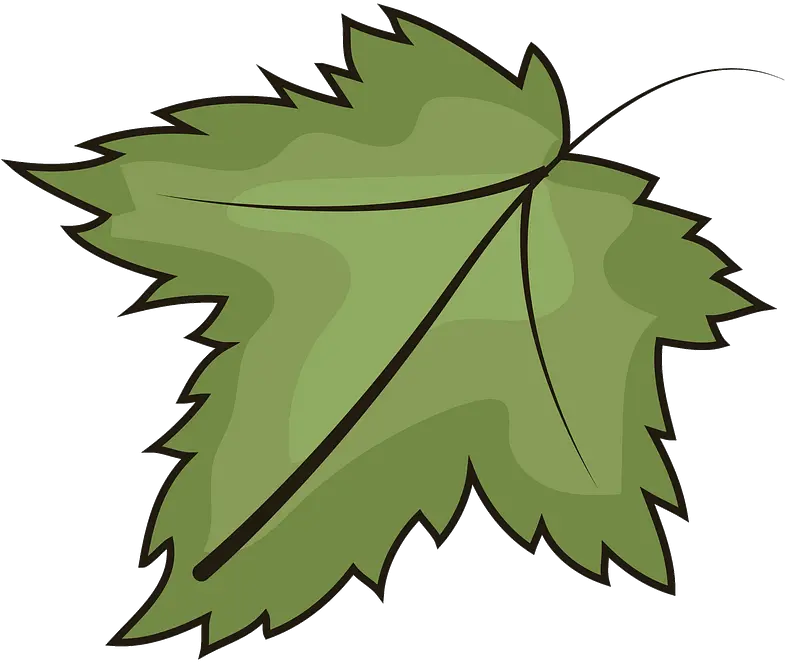 Leaf Clipart Free Download Transparent Png Creazilla Leaf Clipart Leaf Transparent png