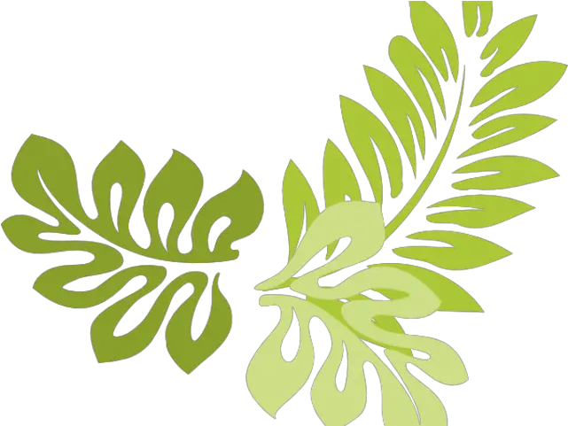 Leaves Leaf Border Png Leaf Border Vector Png Leaf Border Png png