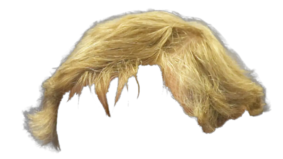 Download Blonde Hair Png Man Image Male Blonde Wig Png Men Hair Png