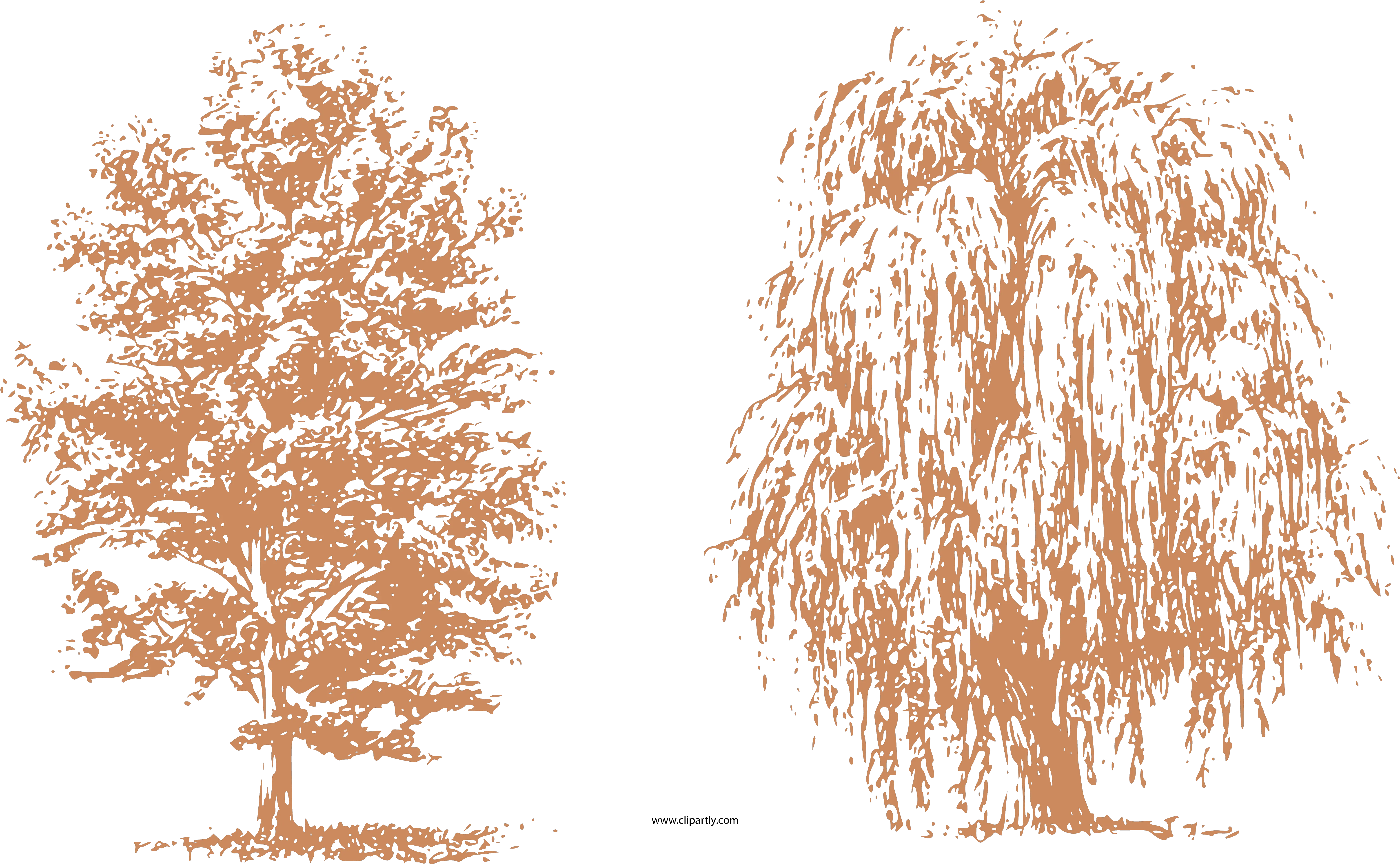 Draw Trees Clipart Png Pencil How To Draw A Tree Trees Clipart Png