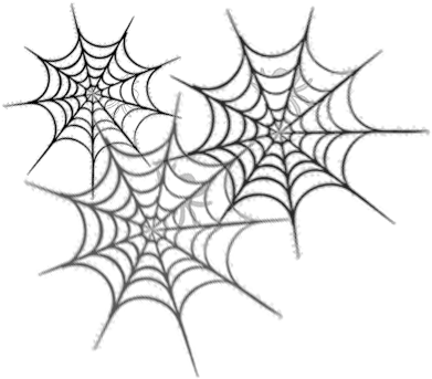 Spider Webs With Words Png Words In Spider Web Webs Png