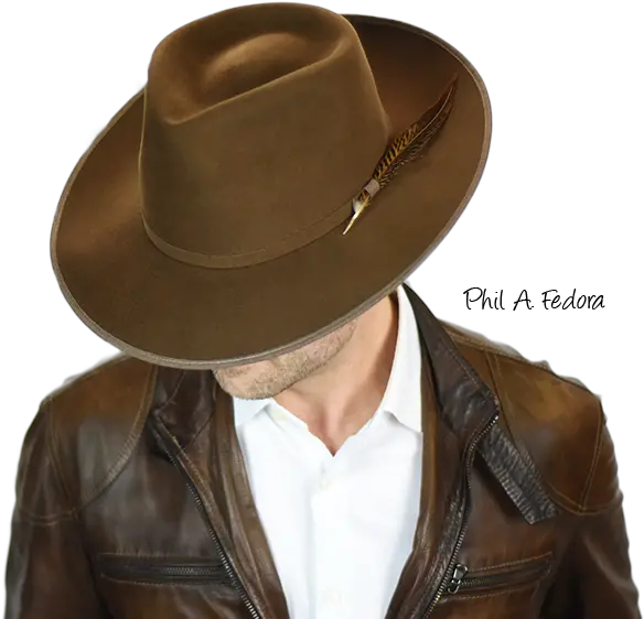 Download Phil A Fedora Cowboy Hat Full Size Png Image Costume Hat Fedora Hat Png