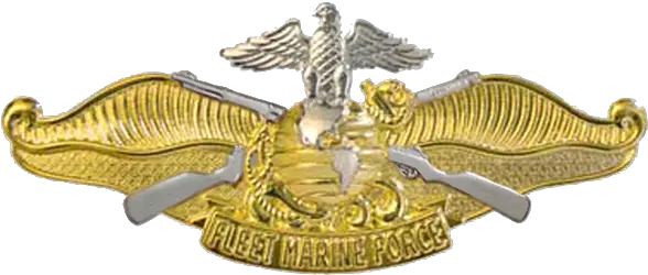 Fleet Marine Force Insignia Military Wiki Fandom Fmf Officer Png Eagle Globe And Anchor Png