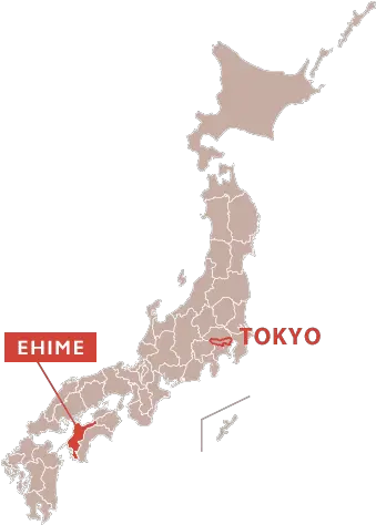 Ehime Tradition In Daily Life Chugokushikokutokyo Japan Japan Map Icon Png Tokyo Png