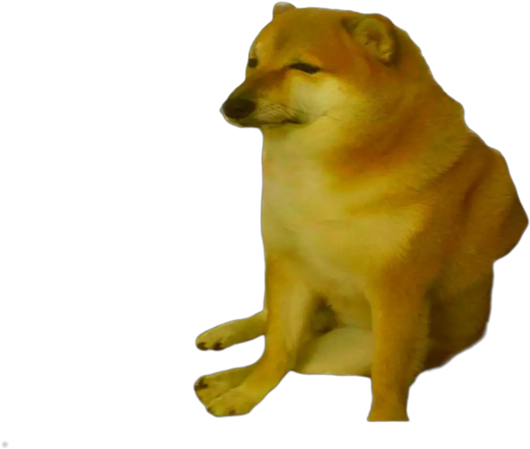 You Ask Receive Sad Cheems Png Dogelore Cheems Doge Shiba Inu Png