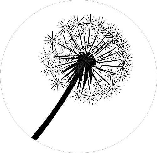 Dandelion Favicon Sbceht Png Fav Icon