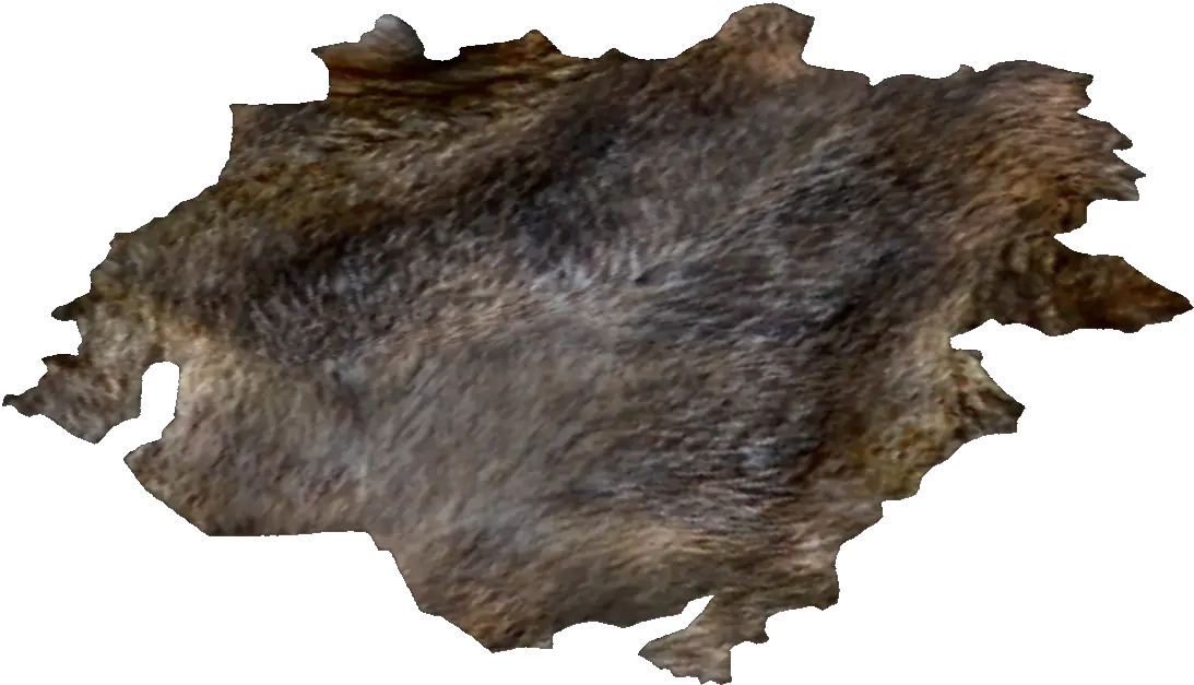 Coyote Hide Fallout Wiki Fandom Golden Gecko Gecko Fallout Png Coyote Icon