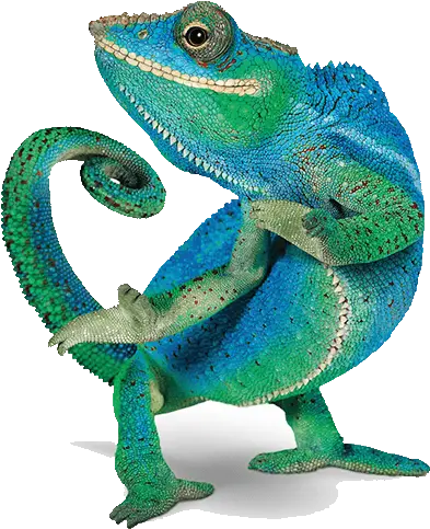 Download Telus Chameleon Png Image With No Background Telus Lizard Chameleon Png