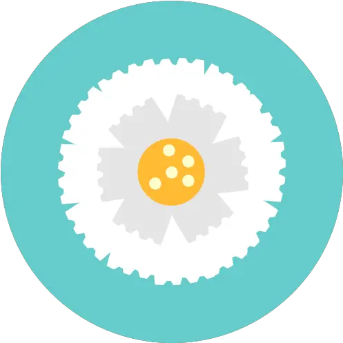 Blossom Flower Flowers Marigold Nature Icon Flowers Png Marigold Png