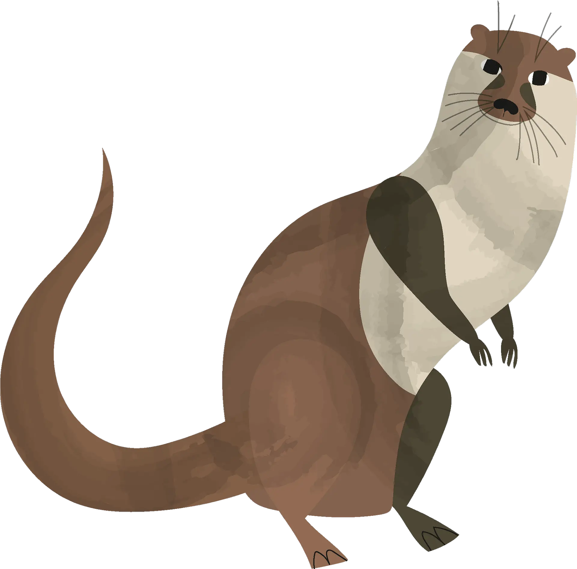 Otter Clipart North American River Otter Clipart Png Otter Png