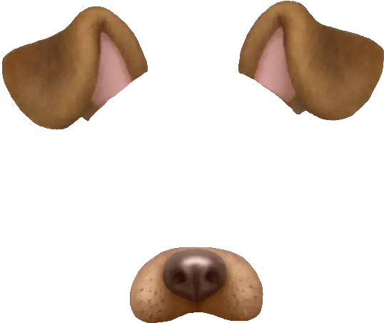 Snapchat Dog Face Png 6 Image Snapchat Dog Filter Transparent Png Dog Face Png