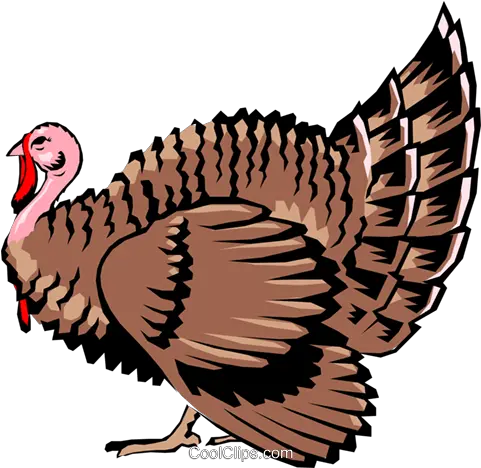 Turkey Clipart Turkey Farmer Clipart Png Download Farm Animals Turkey Clipart Turkey Clipart Png