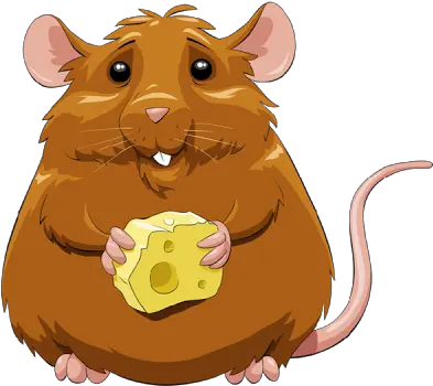 Unique Cartoon Image Of A Mouse Funny Mice Rat Rat Brown Rat Cartoon Png Mice Png