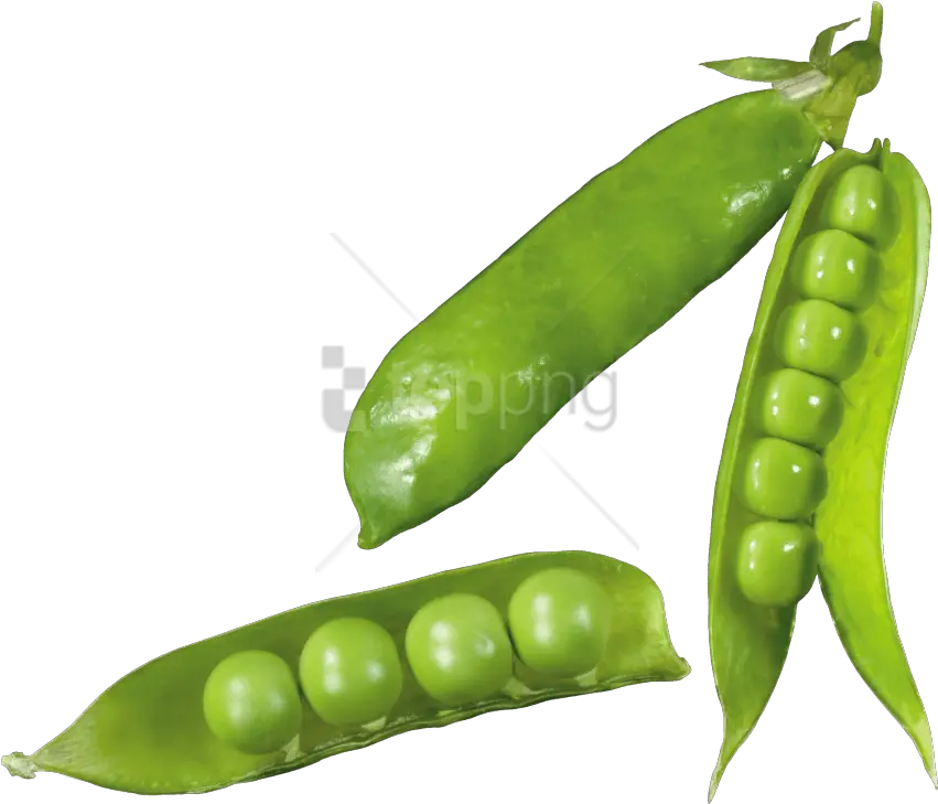 Free Png Pea Images Transparent Transparent Background Peas In A Pod Png Pea Png