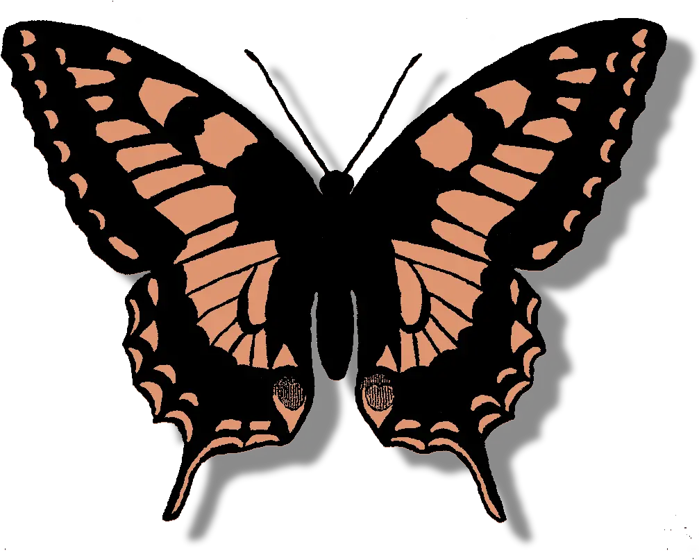 Butterfly Clipart Peach Butterfly In Sketch Png Vintage Butterfly For Scrapbook Butterfly Clipart Png png