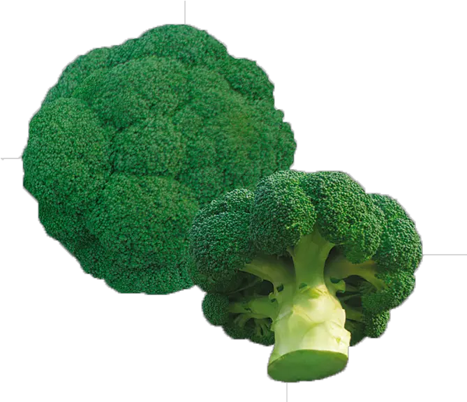 Download Sprouting Broccoli Full Size Png Image Pngkit Vegetable Broccoli Png