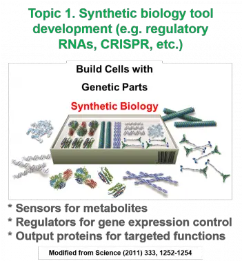 Home Moon Research Group Washington University In St Louis Engineering Synthetic Biology Png Taeyong Icon