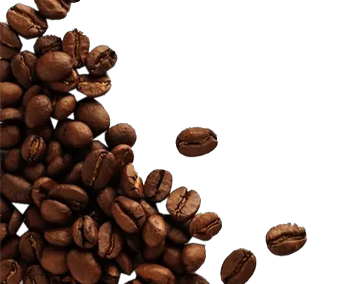 Download Cacaos Free Png Image Granos De Café Y Cacao Coffee Beans Transparent