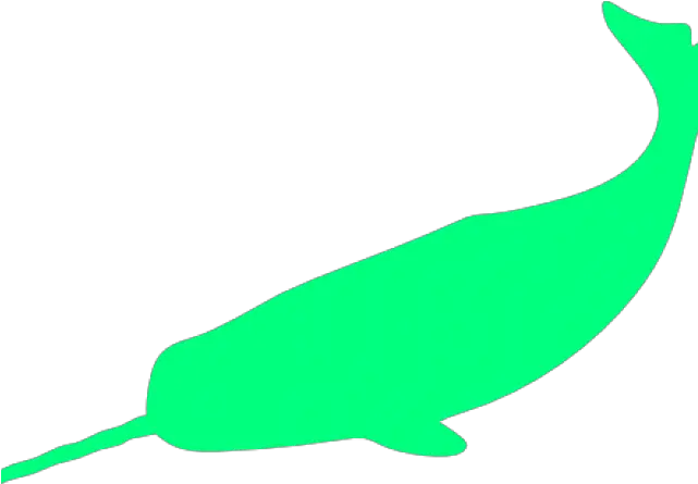 Narwhal Clipart Green Silueta Narval Png Download Full Clip Art Narwhal Png