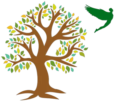 Cropped Bigtreeonlyfaviconpng U2013 Lihigh School Tree Of Philosophy By Branches Big Tree Png