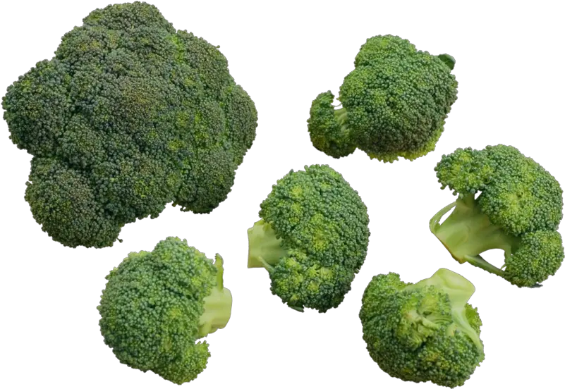Download Free Png Broccoli Backgroundtransparent Dlpngcom Cauliflower Broccoli Transparent