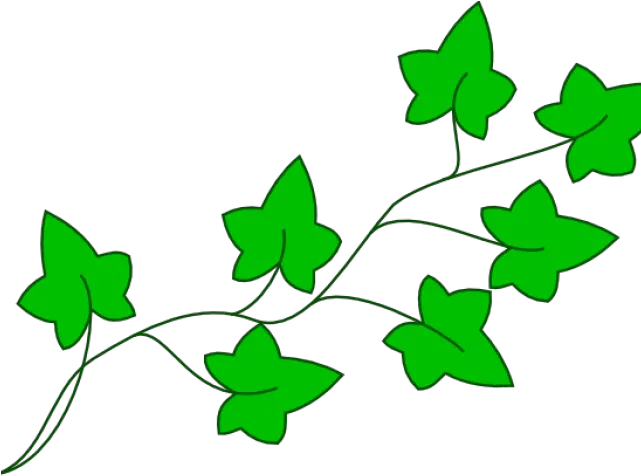 Drawn Jungle Free Clip Art Poison Ivy Cartoon Plant Png Ivy Png