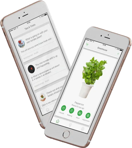 Urban Gardening App For Click U0026 Grow Click For Mobile App Png Iphone Tips Icon