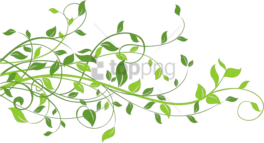 Free Png Spring Border Image Transparent Spring Leaves Png Leaves Border Png