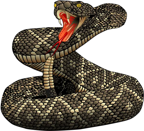 Download Rattlesnakepngfile Free Transparent Png Images Rattlesnake Png Cartoon Snake Png