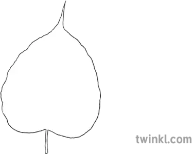 Bodhi Leaf Plant Nature Outline Religion Day Worksheet Ks2 Bodhi Leaf Png Outline Leaf Outline Png png