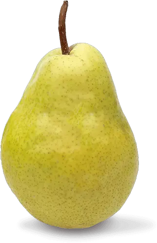 Single Pear Png Image Background Arts Asian Pear Pear Png