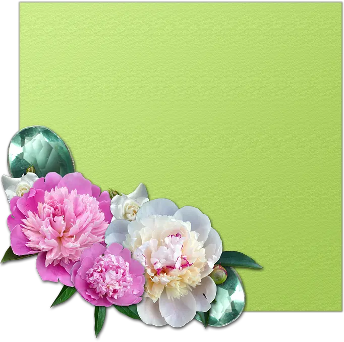 Cluster Peony Roses Free Image On Pixabay Peony Png Peony Transparent