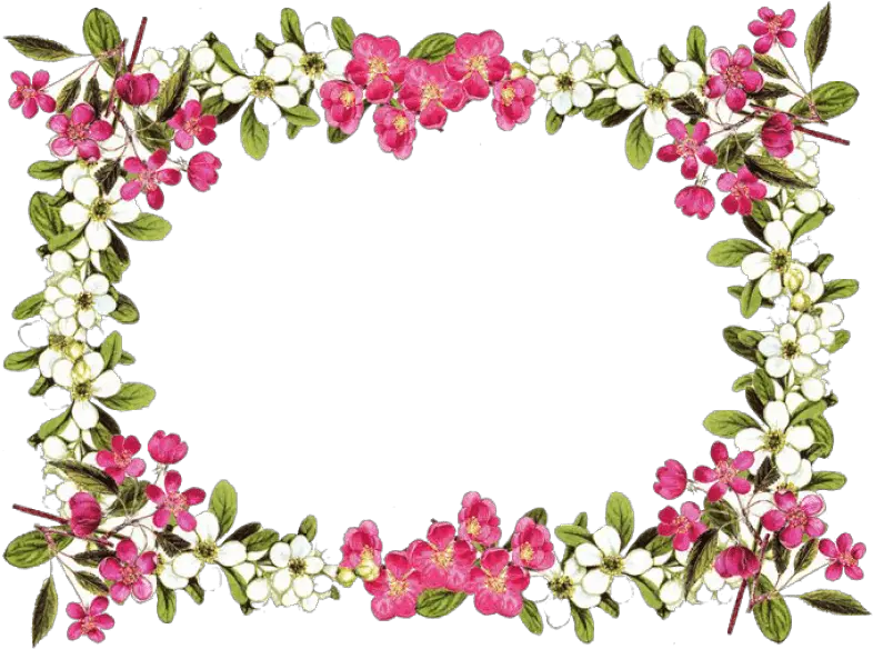 Download Flowers Borders Png Clipart Hq Flower Frame With Transparent Background Flowers Clipart Png