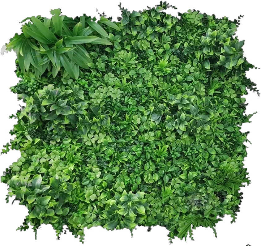 Green Walls U2014 Lush Greenery Fines Herbes Png Wall Vines Png