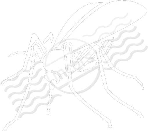 Mosquito Icon White Mosquito Icon Png Mosquito Transparent