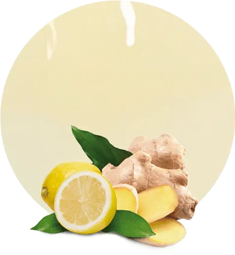 Lemon U0026 Ginger Juice Nfc Manufacturer And Supplier Ginger Png Juice Png