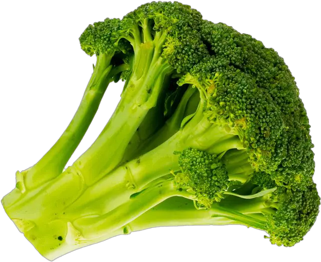 Green Broccoli Transparent Background Vitamin B Vegetables Png Broccoli Transparent