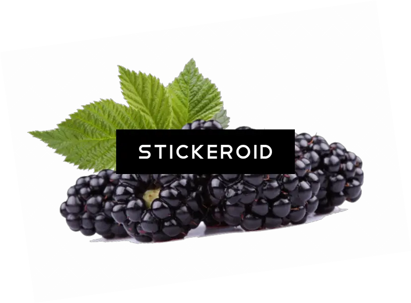 Black Raspberries Hd Russells Black Raspberry Pecan Ice Black Raspberry Png Raspberries Png