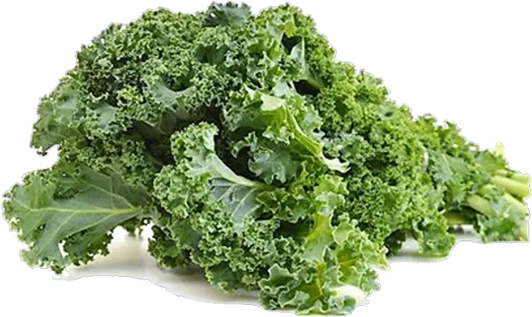 Marketed In Denmark By Bioforce Danmark Funny Kale Memes Png Kale Png