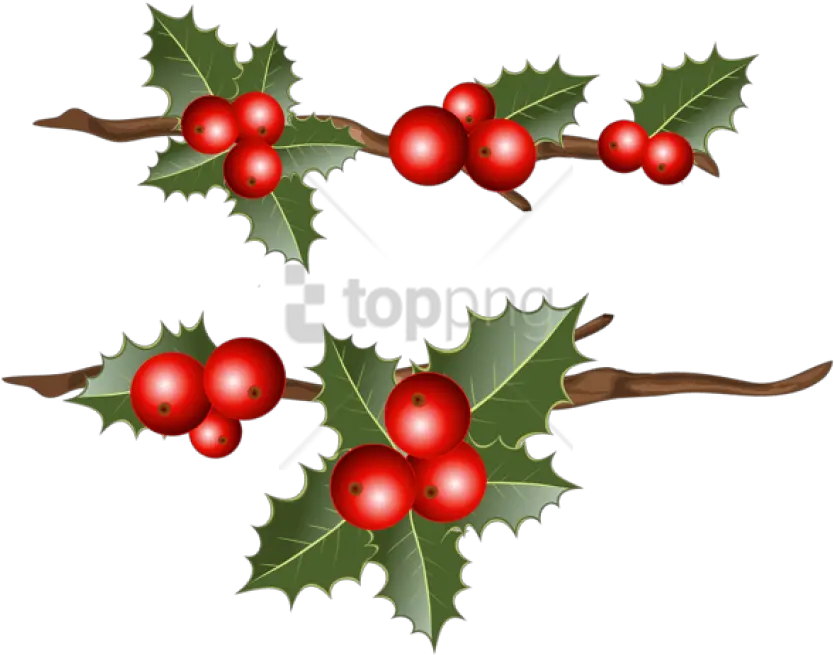 Holly Branches Png Images Transparent Holly Branch Clip Art Holly Png