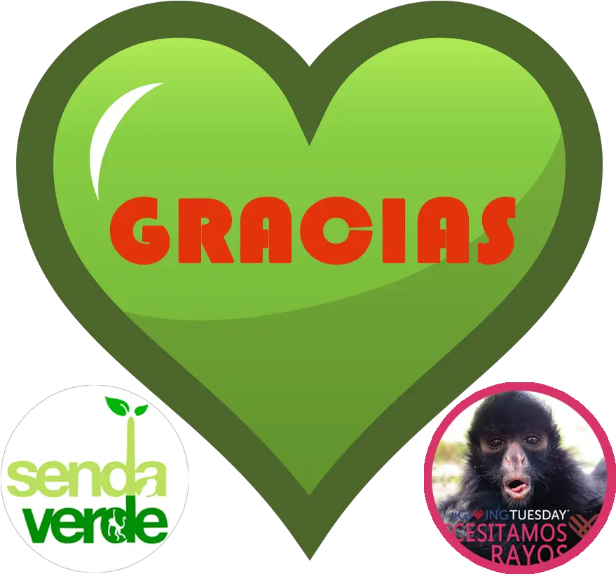 Gracias La Senda Verde Png Gracias Png