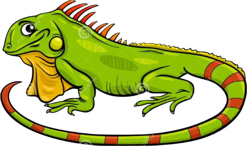 Garden Clipart Lizard Cartoon Images Of Iguana Png Lizard Transparent