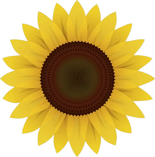 Sunflower Png Cricut