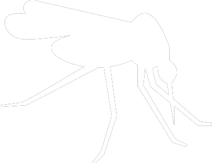 Mosquito Parasitism Png Mosquito Icon