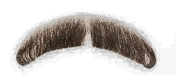 Fake Moustache Transparent Background Transparent Background Realistic Mustache Png Beard Transparent Background
