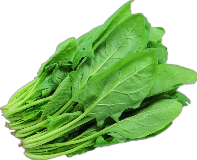 Spinach Png Green Leafy Vegetables Png Spinach Png