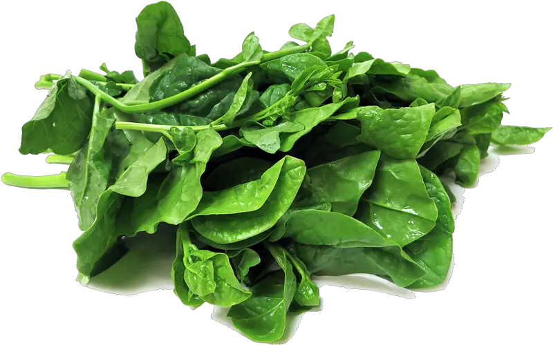 Spinach Transparent Png Spinach Transparent Png Spinach Png