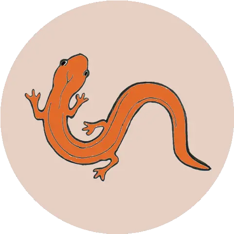 Stronach Park U2013 Earth Adventures Animal Figure Png Salamander Icon